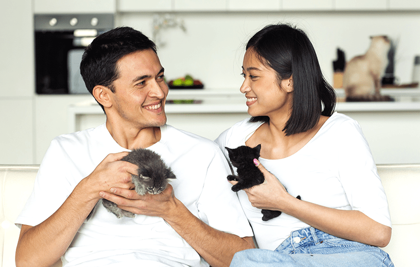 complte-begineer-img